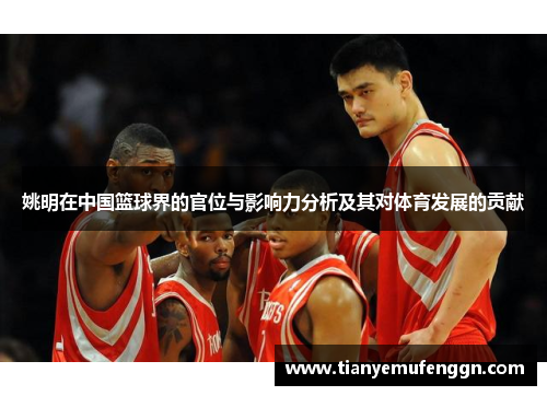 姚明在中国篮球界的官位与影响力分析及其对体育发展的贡献