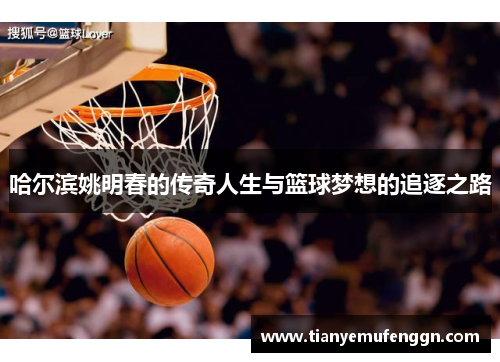 哈尔滨姚明春的传奇人生与篮球梦想的追逐之路