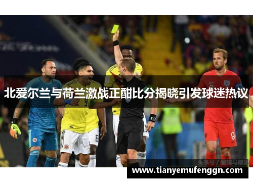 北爱尔兰与荷兰激战正酣比分揭晓引发球迷热议