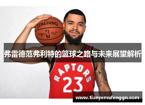 弗雷德范弗利特的篮球之路与未来展望解析